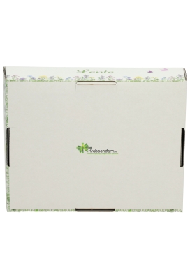 Geschenkdozen Korf Voorjaar Lente 23x17x8cm 10stuks