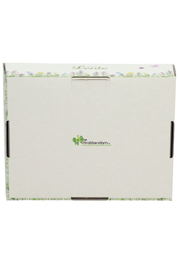 Geschenkdozen Korf Voorjaar Lente 23x17x8cm 10stuks
