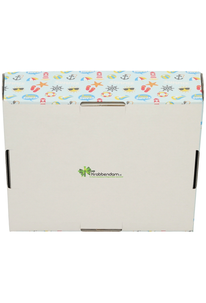 Geschenkdozen Zomer Korf Summer 23x17x8cm 10stuks