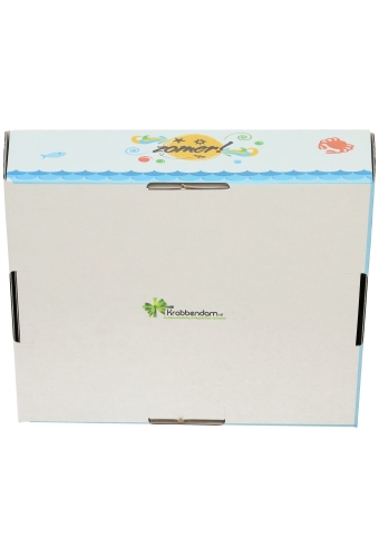 Geschenkdozen Korf Zomer 23x17x8cm 10stuks 
