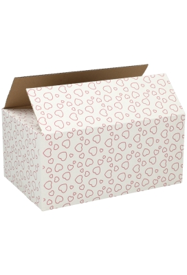 Geschenkdozen Hart Line 31x20x14cm 30stuks