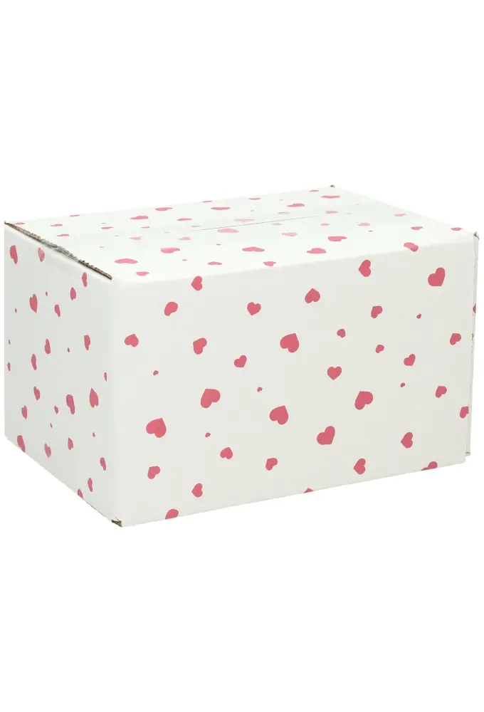 Geschenkdozen Hartjes 21.5x15x12cm 30stuks