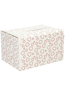 Geschenkdozen Hart Line 21.5x15x12cm 30stuks