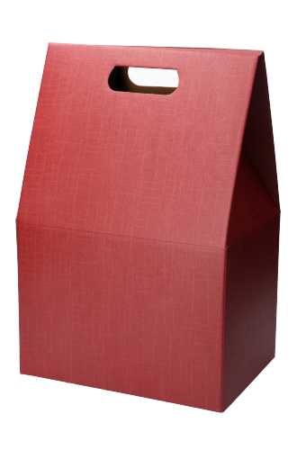 Geschenkdoos Draagbox Bordeaux 28x20x41cm 50stuks