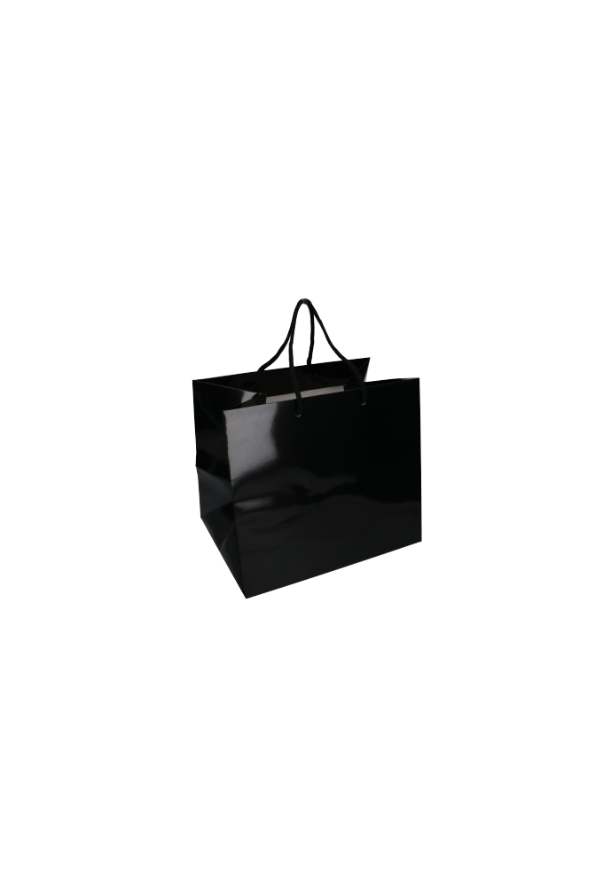 Kadotasjes Rome Uni Zwart Glanzend Met Koord 33x25x29cm Extra Diep 10st