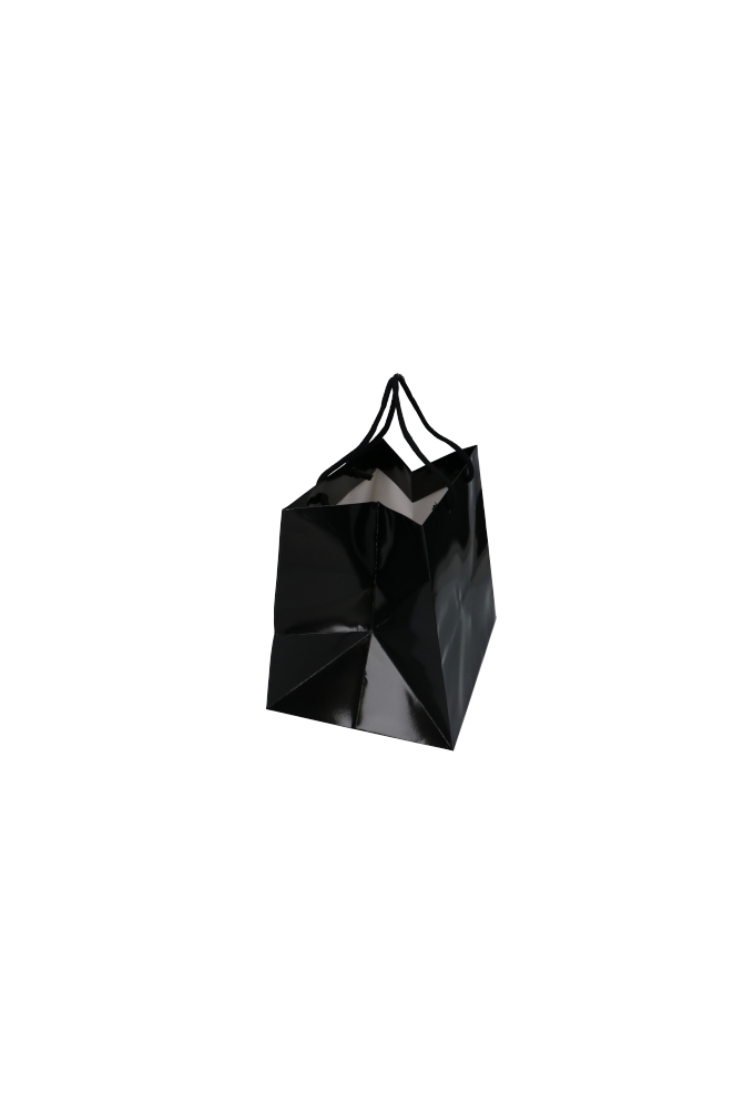Kadotasjes Rome Uni Zwart Glanzend Met Koord 33x25x29cm Extra Diep 10st