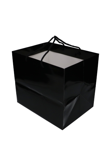 Kadotasjes Rome Uni Zwart Glanzend Met Koord 33x25x29cm Extra Diep 10st