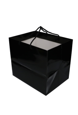 Kadotasjes Rome Uni Zwart Glanzend Met Koord 33x25x29cm Extra Diep 10st