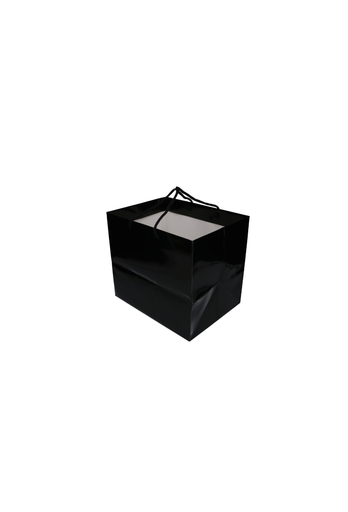 Kadotasjes Rome Uni Zwart Glanzend Met Koord 33x25x29cm Extra Diep 10st