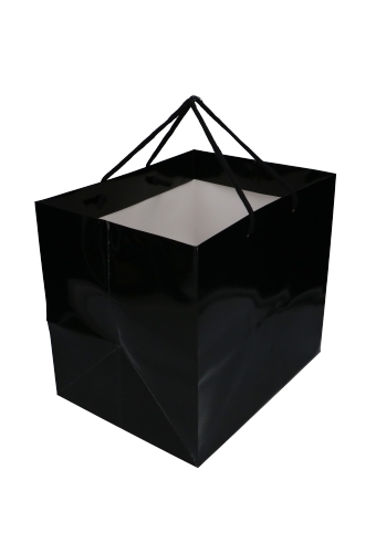 Kadotasjes Rome Uni Zwart Glanzend Met Koord 33x25x29cm Extra Diep 10st