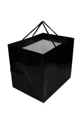 Kadotasjes Rome Uni Zwart Glanzend Met Koord 33x25x29cm Extra Diep 10st