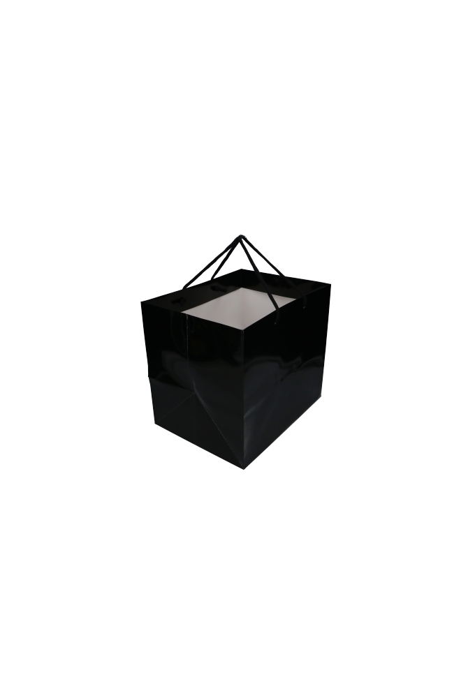 Kadotasjes Rome Uni Zwart Glanzend Met Koord 33x25x29cm Extra Diep 10st