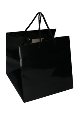 Kadotasjes Rome Uni Zwart Glanzend Met Koord 25x25x25cm Extra Diep 10st