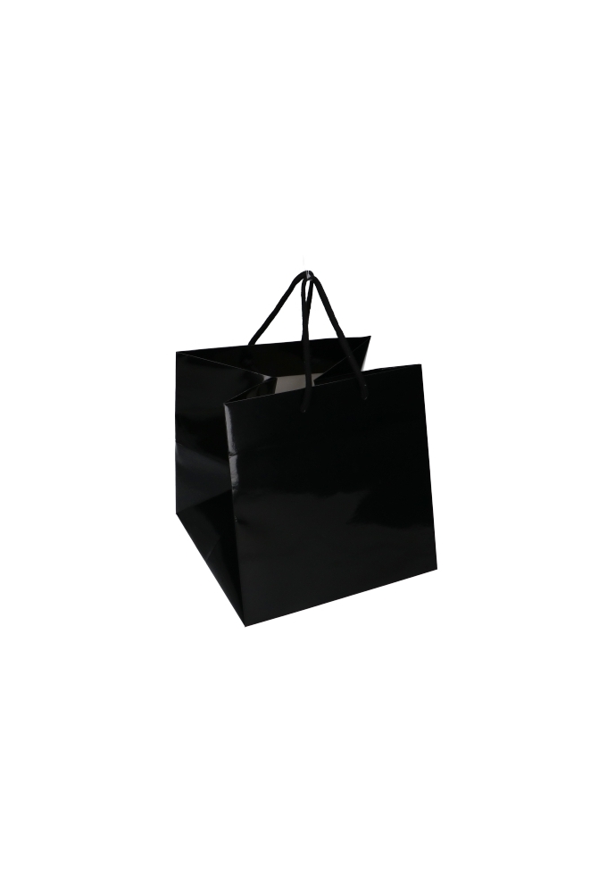 Kadotasjes Rome Uni Zwart Glanzend Met Koord 25x25x25cm Extra Diep 10st