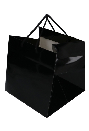 Kadotasjes Rome Uni Zwart Glanzend Met Koord 25x25x25cm Extra Diep 10st