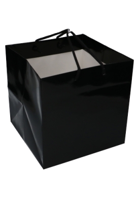 Kadotasjes Rome Uni Zwart Glanzend Met Koord 25x25x25cm Extra Diep 10st