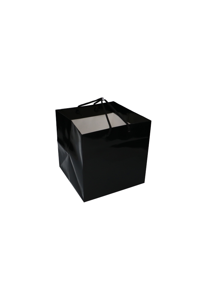 Kadotasjes Rome Uni Zwart Glanzend Met Koord 25x25x25cm Extra Diep 10st