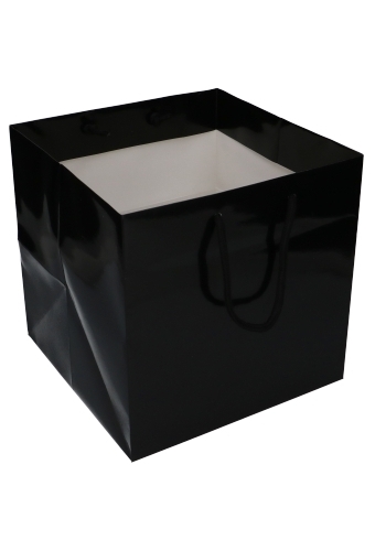 Kadotasjes Rome Uni Zwart Glanzend Met Koord 25x25x25cm Extra Diep 10st