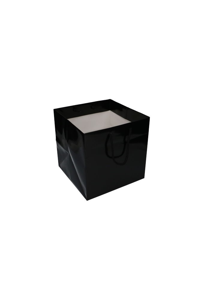 Kadotasjes Rome Uni Zwart Glanzend Met Koord 25x25x25cm Extra Diep 10st