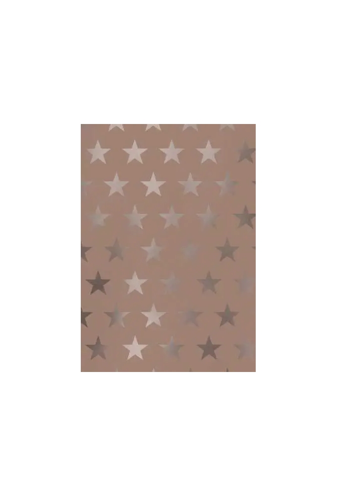 Kerstpapier Metallic Etoile Rose & Goud 70cm x 100meter
