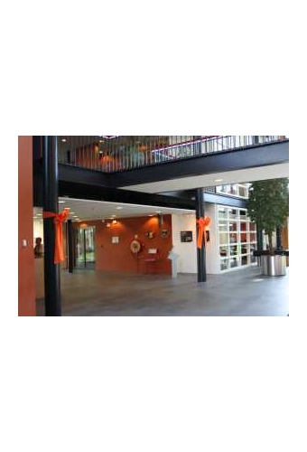 Decoratie Strik Zilver 50x35+80cm Lint 18cm extra 50cm Lint