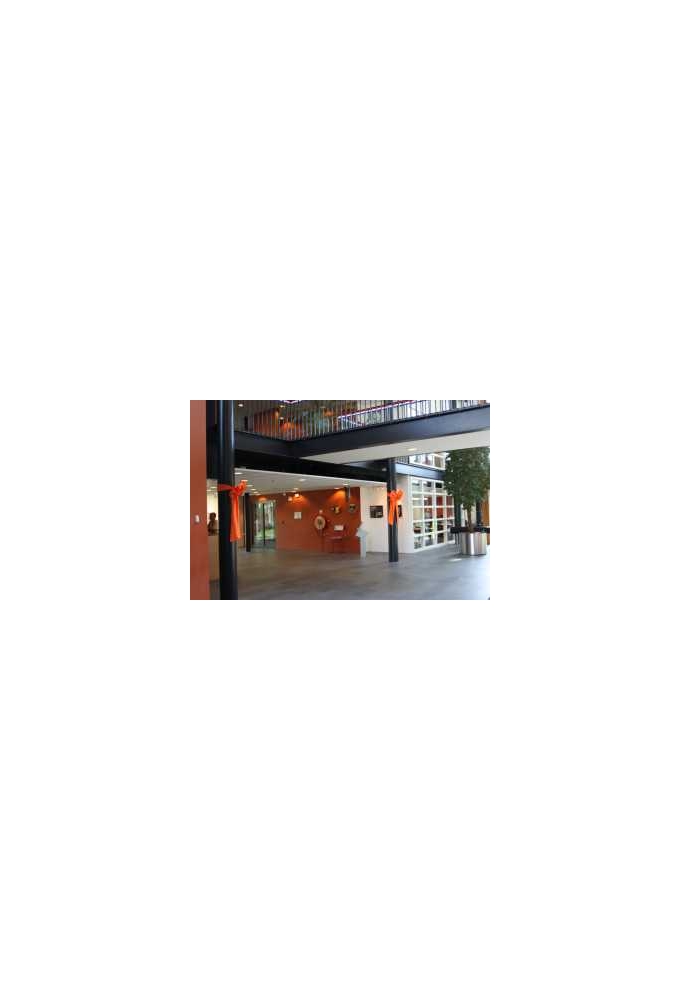 Decoratie Strik Wit 50x35+80cm Lint 18cm extra 50cm Lint