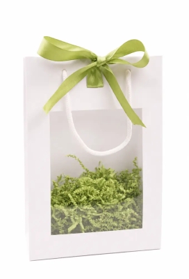 Kadotasjes Trazo Wit Glanzend Met PVC Venster 20x8x29cm 10stuks