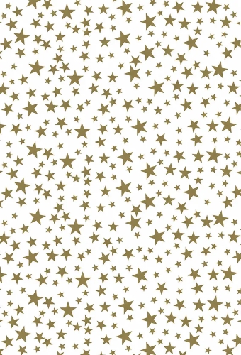 Zijdevloei - Vloeipapier Bedrukt Sterren Goud & Wit 50x75cm 240vellen