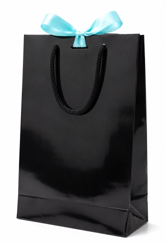 Kadotasjes Trazo Zwart Glanzend Met PVC Venster 20x8x29cm 10stuks
