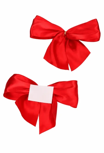 Luxe Strikje Satijn Rood & Plakker 10x9cm 250stuks lint 4cm
