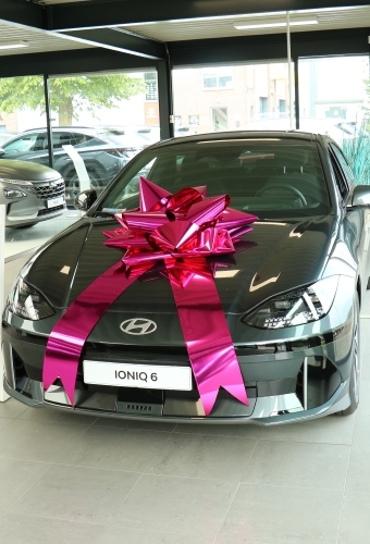 Autostrik Vienna Metallic Pink d80cm+80cm Magnum Bows