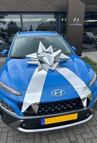 Autostrik Vienna Metallic Zilver d80cm+80cm Magnum Bows