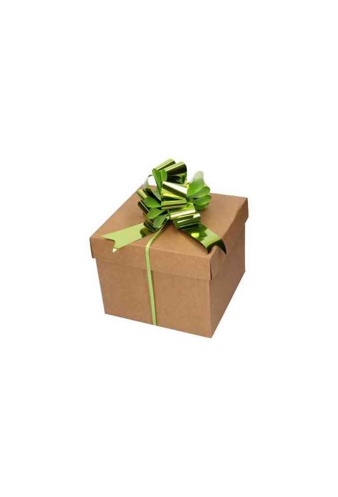 Strik Lime Groen Metallic Doorsnee 15cm lint 5cm 1stuks