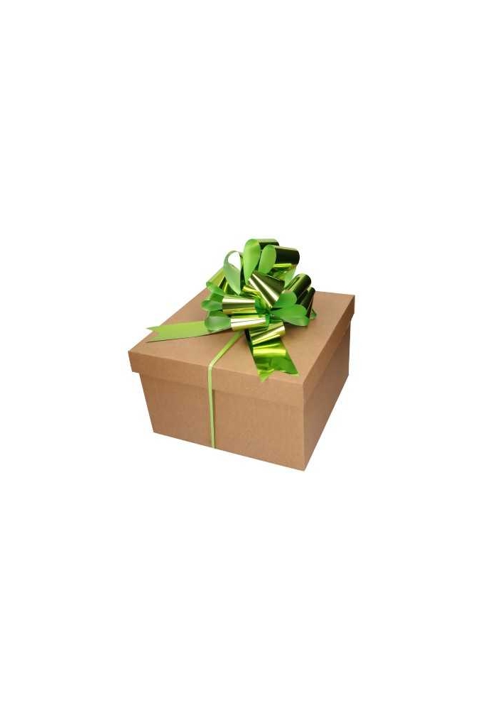 Strik Lime Groen Metallic Doorsnee 27cm lint 6.8cm 1stuks
