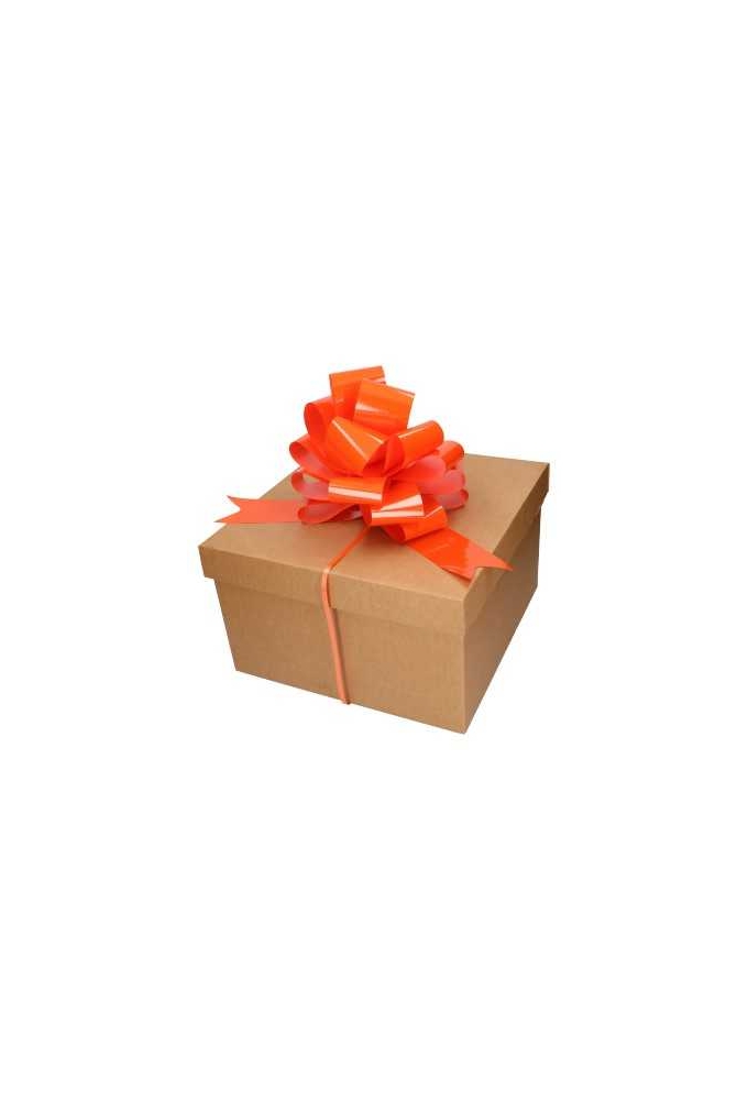 Strik Oranje Lak Doorsnee 27cm lint 6.8cm 1stuks
