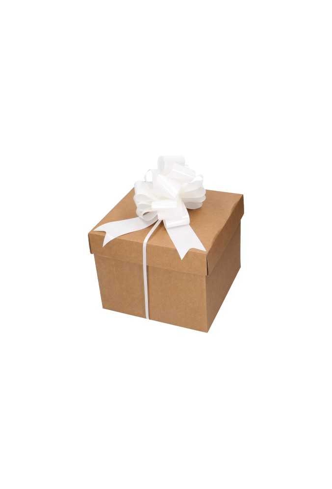 Strik Lak Wit Doorsnee 15cm lint 5cm 1stuks