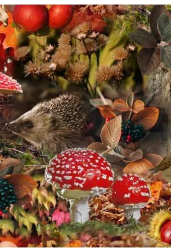 Inpakpapier Trendy herfst 30cm x 200meter