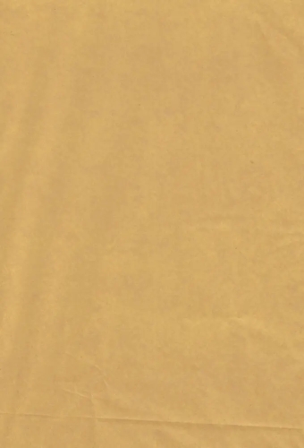 Zijdevloei - Vloeipapier Onbedrukt Goud 50x75cm 240 vellen