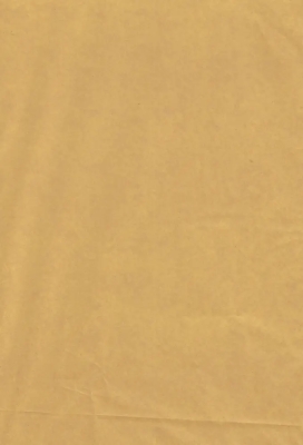 Zijdevloei - Vloeipapier Onbedrukt Goud 50x75cm 240 vellen