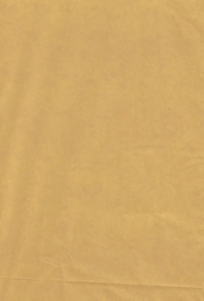 Zijdevloei - Vloeipapier Onbedrukt Goud 50x75cm 240 vellen
