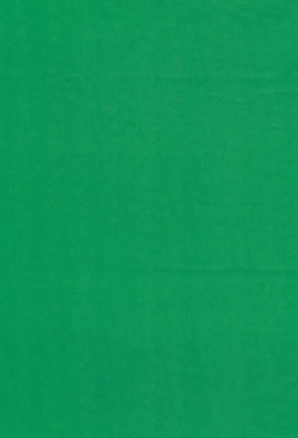 Zijdevloei - Vloeipapier Onbedrukt Groen 50x75cm 240 vellen