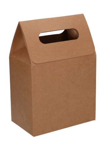 Kadodoos Flores Met Handgreep Hoog Model Kraft & Tape 13x8x18cm 9stuks