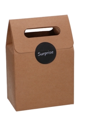 Kadodoos Flores Met Handgreep Hoog Model Kraft & Tape 13x8x18cm 9stuks