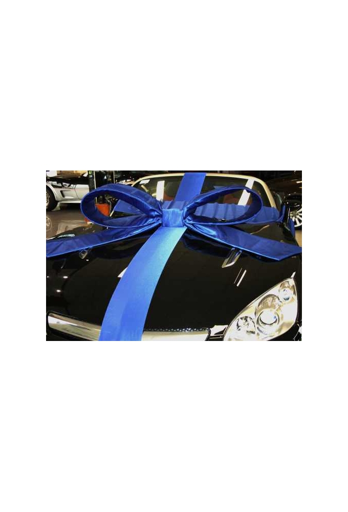Super Autostrik Salerno Blauw 120x100x50cm Met Lint En Zuignap