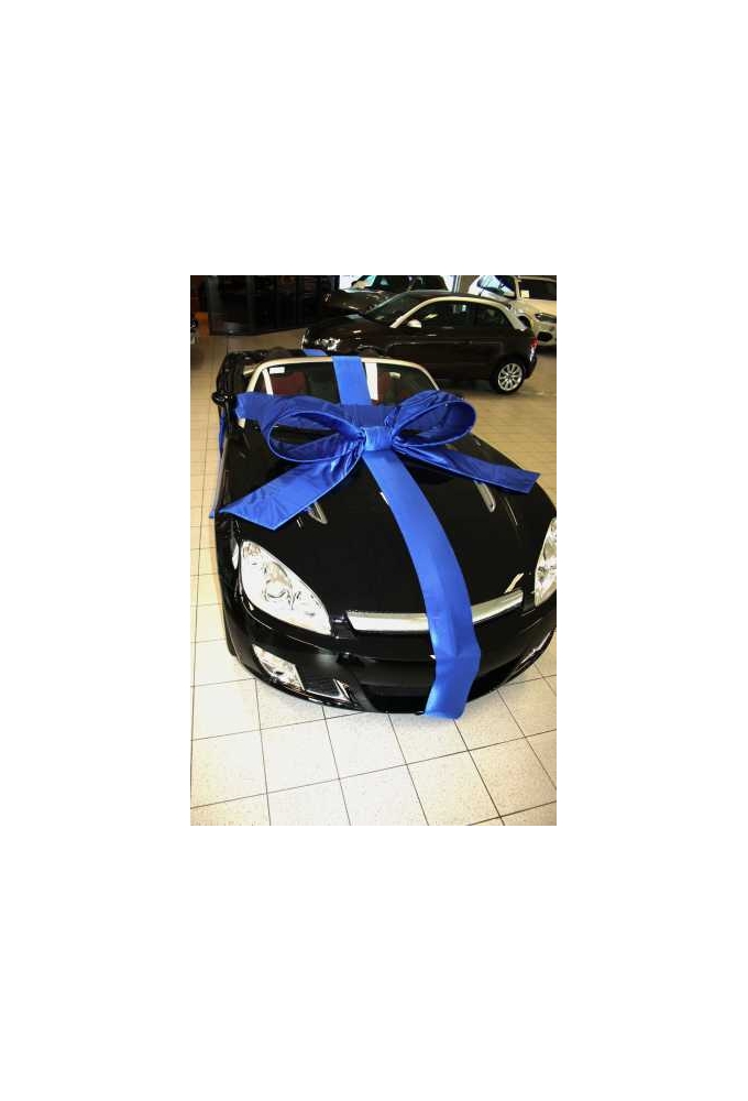 Super Autostrik Salerno Blauw 120x100x50cm Met Lint En Zuignap