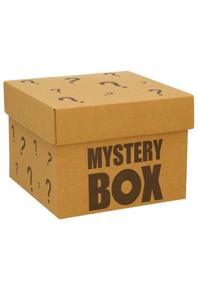 Geschenkdoos Torino Kraft Mystery Box 20x20x15cm 20stuks