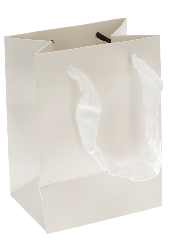 Kadotasjes Trazo Wit Mat Met PET Venster FSC® 11x8x15cm 10stuks