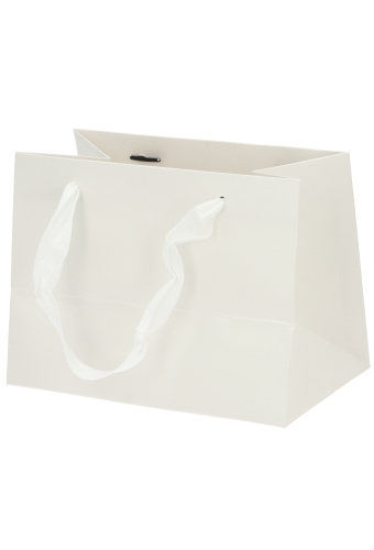 Kadotasjes Trazo Wit Mat Met PET Venster FSC® 18x11x13.5cm 10stuks