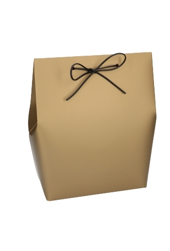 Kadozakjes Borgo Goud Met Plakstrip & Lint 18x11.5x24.5cm FSC® 10stuks