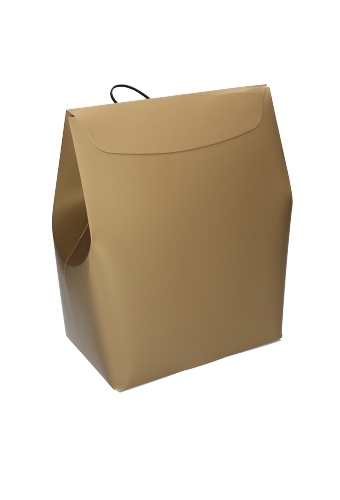 Kadozakjes Borgo Goud Met Plakstrip & Lint 18x11.5x24.5cm FSC® 10stuks